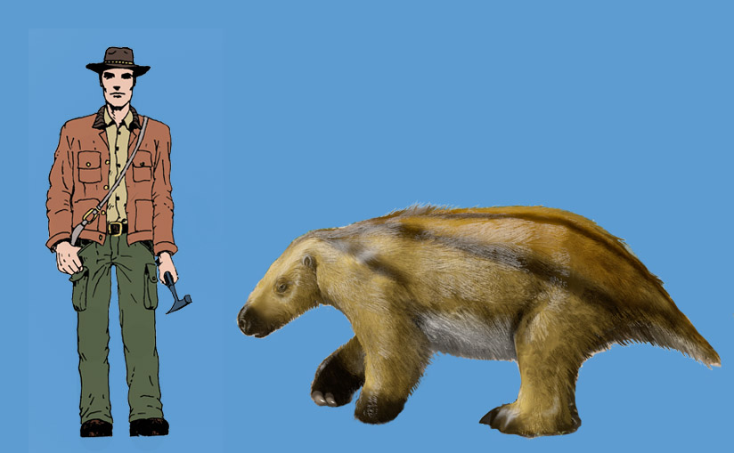 scelidoterio comparado con el hombre