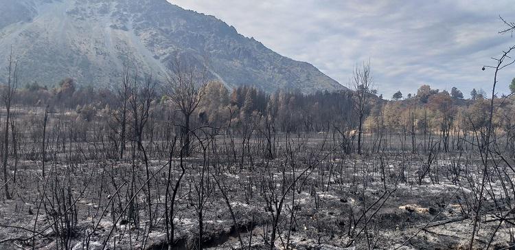 incendiosComarca7503