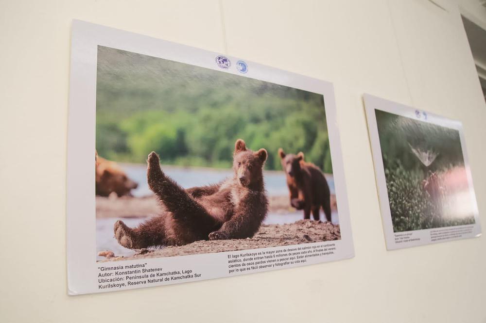 WhatsApp Image 2021-12-10 at 10.46.27