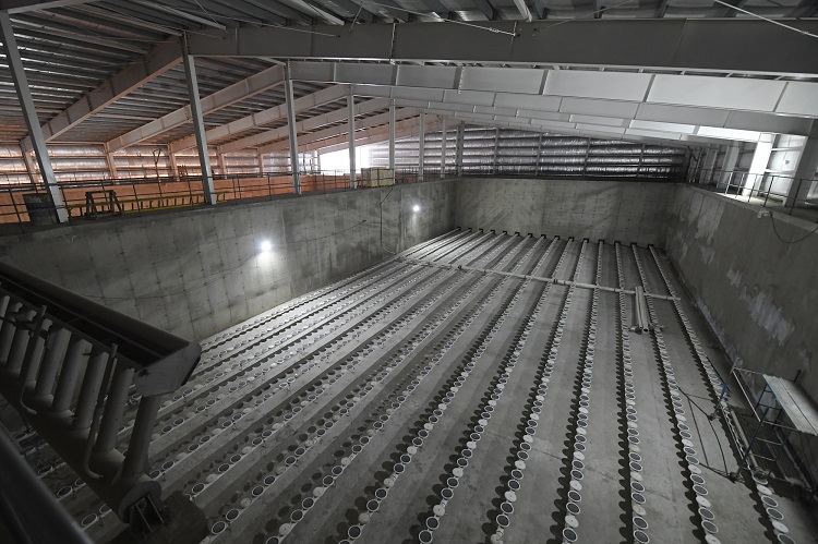 planta arroyo grande