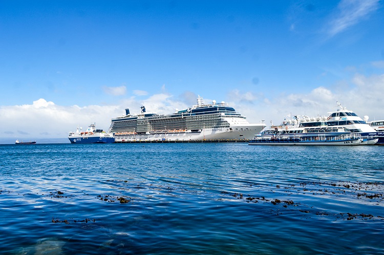 crucero 750x5001
