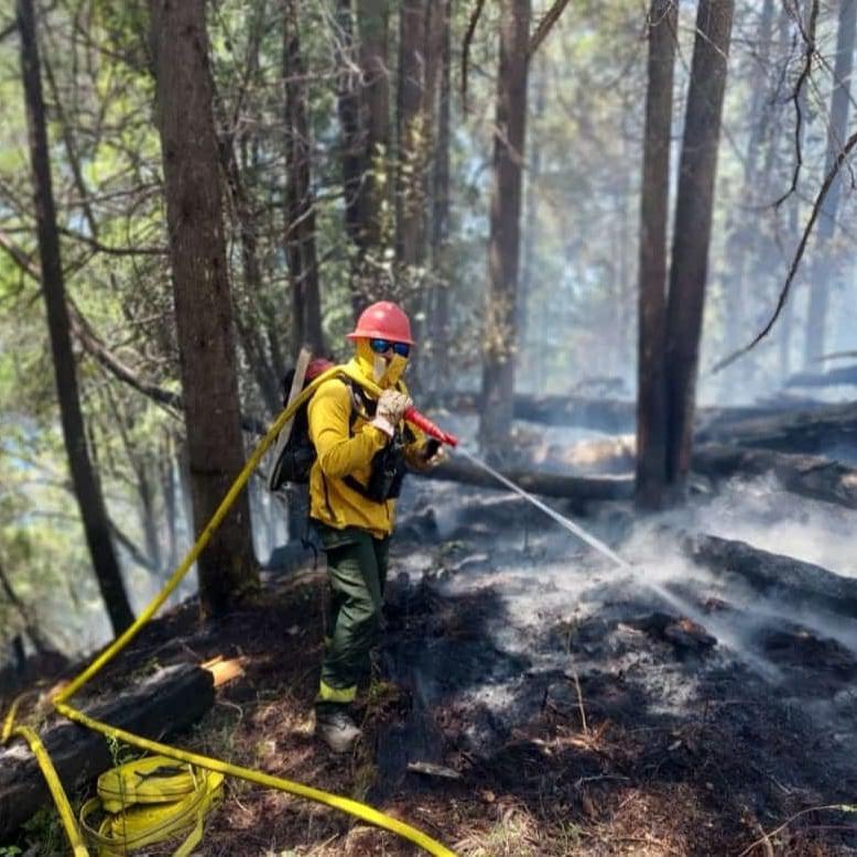 brigadista bariloche