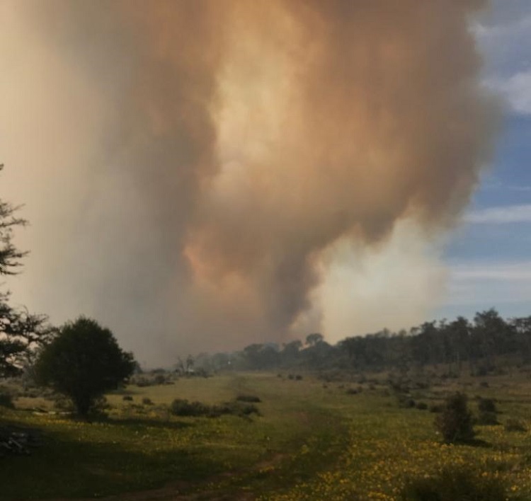 WhatsApp Image 2019-11-23 at 20.13.51