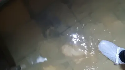 WhatsApp Video 2025-04-28 at 15.26.54