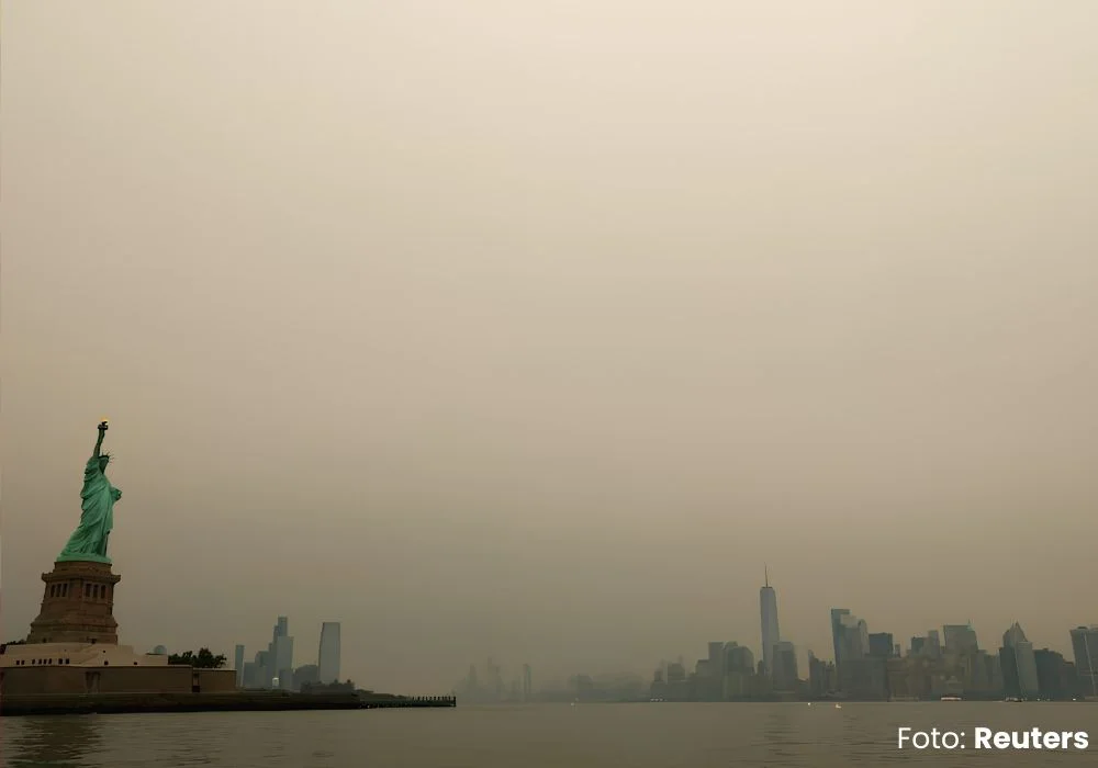New york smoke