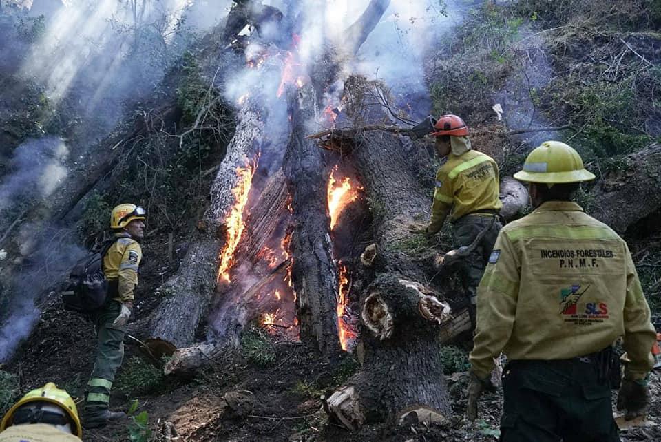 incendio forestales