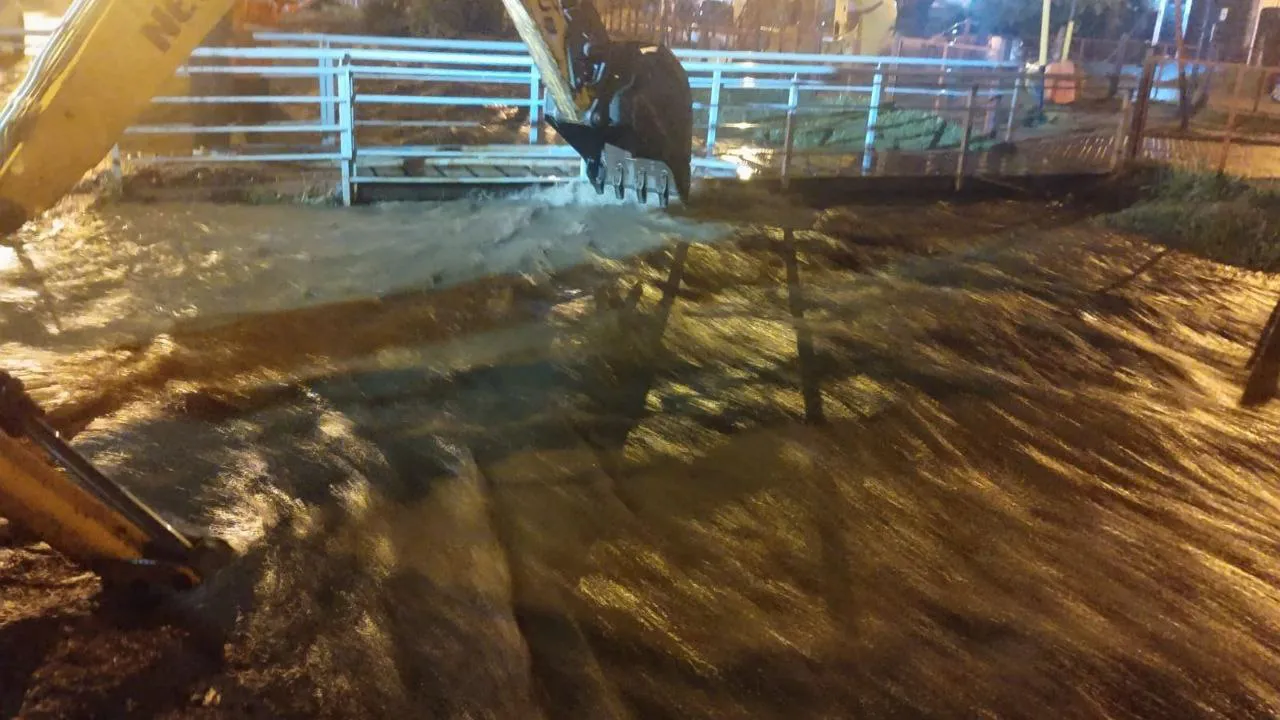 photo_5046497469864717959_y