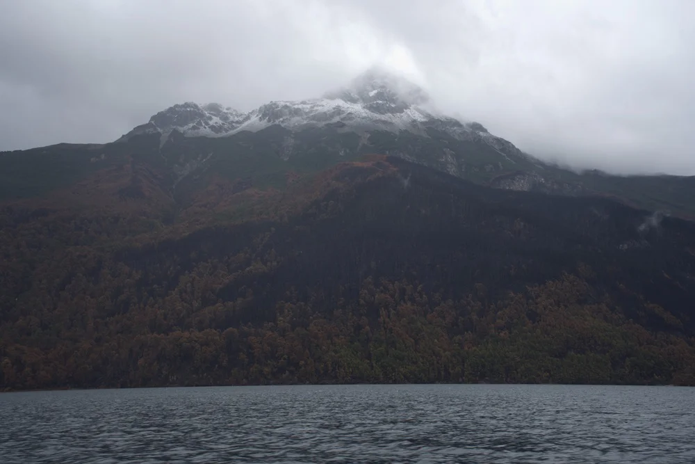 LOS ALERCES INCENDIO