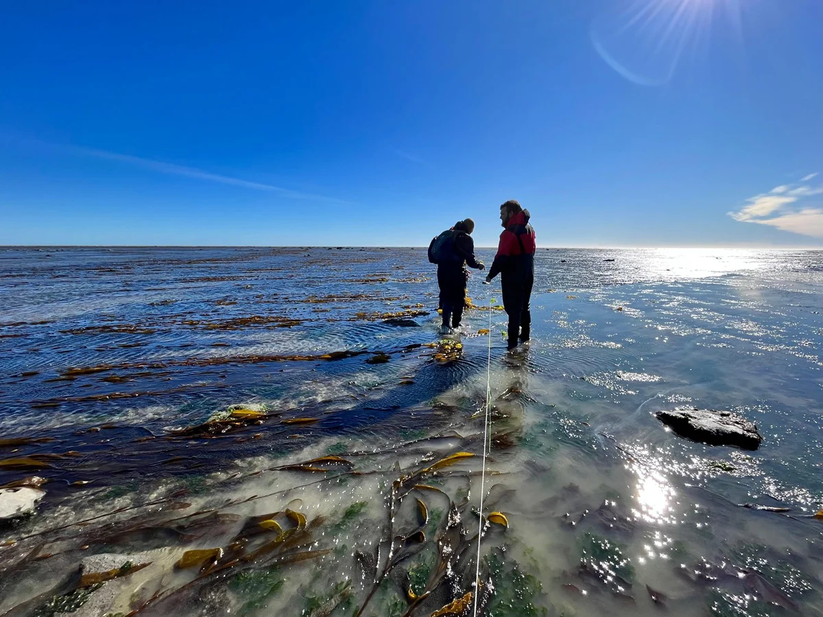 condrictios 8, gentileza _Por el Mar_