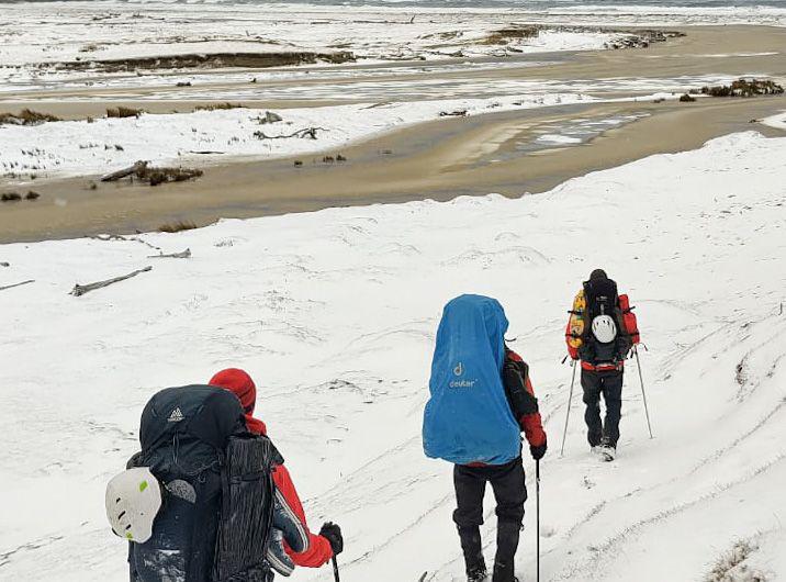 elio torres busqueda