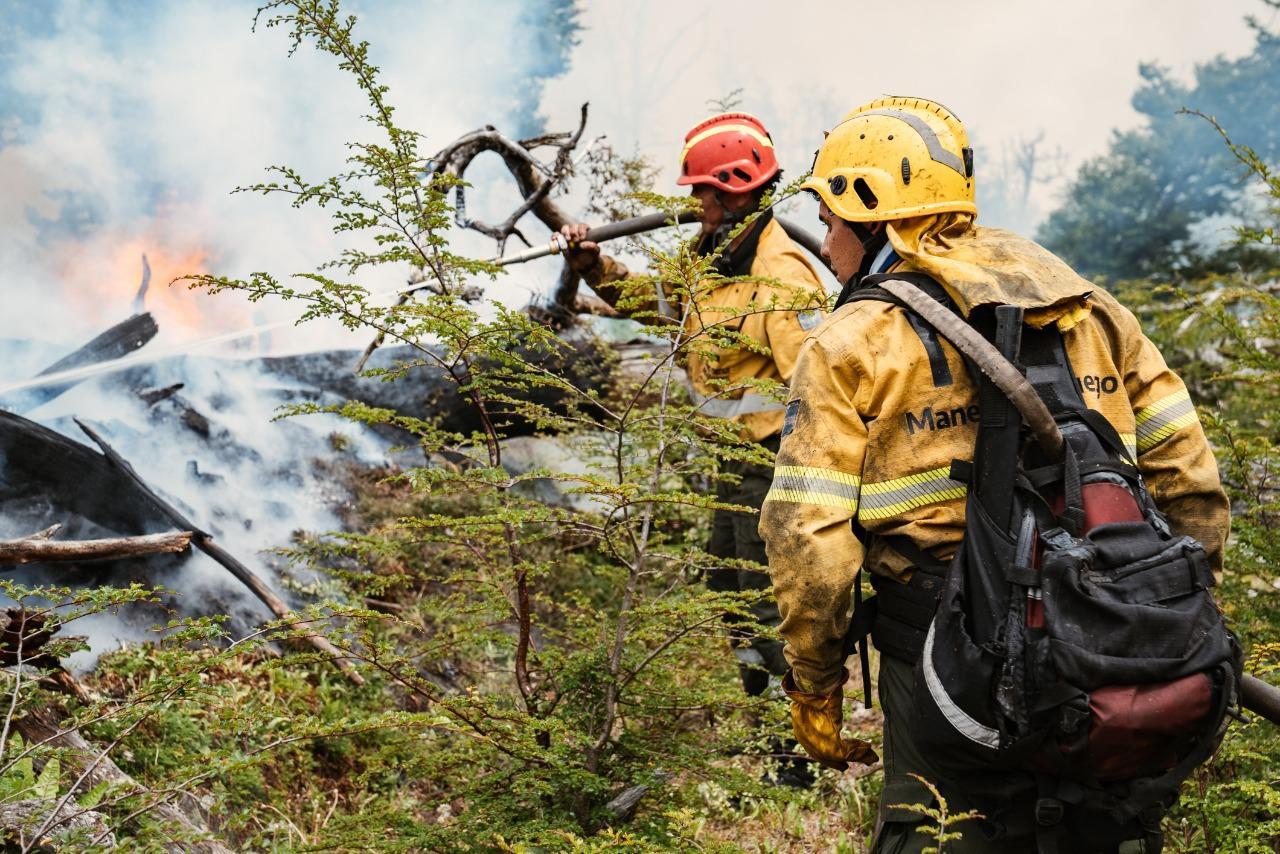 incendio forestal 7