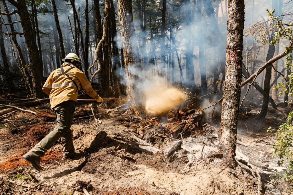 incendio forestal