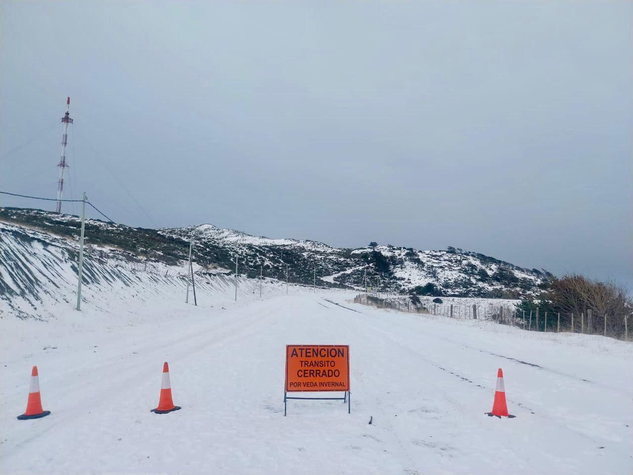 photo_4988280249024359755_y