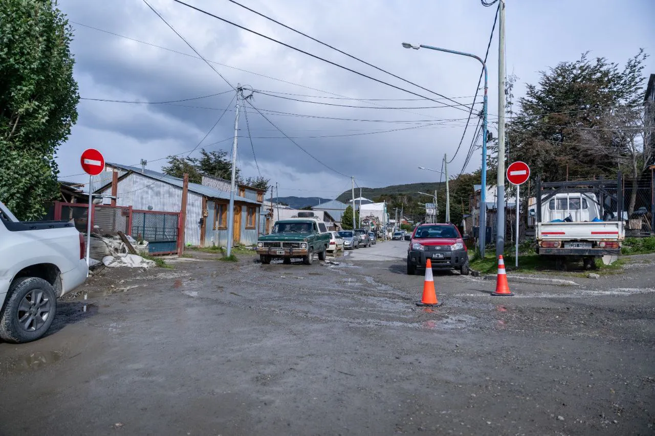 photo_5039866547165835111_y