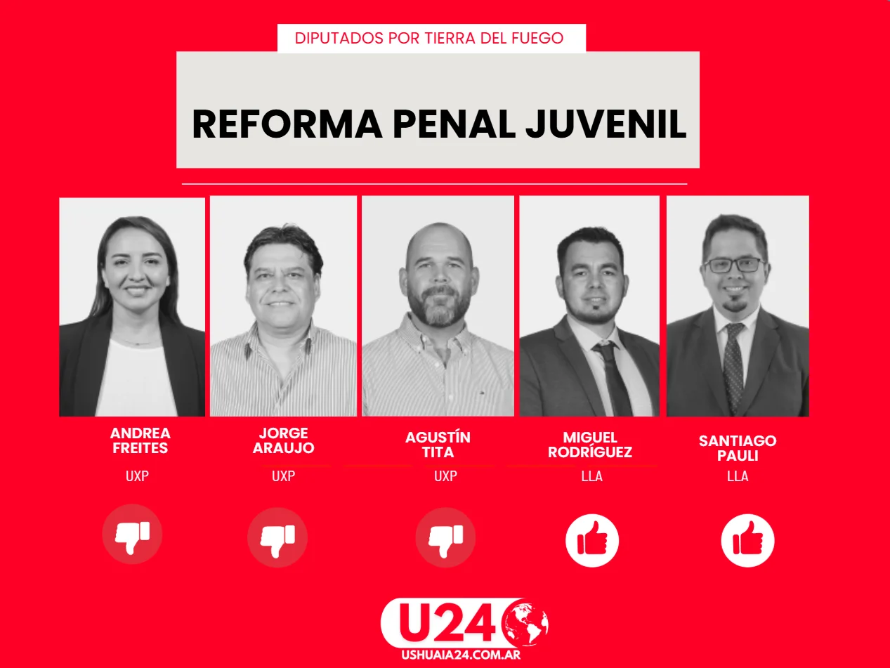 diputados tierra del fuego