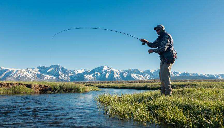 pesca