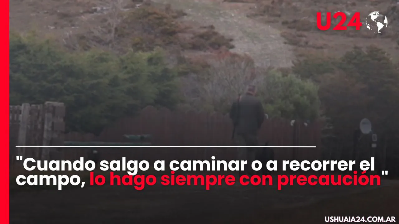 Miniatura (2)
