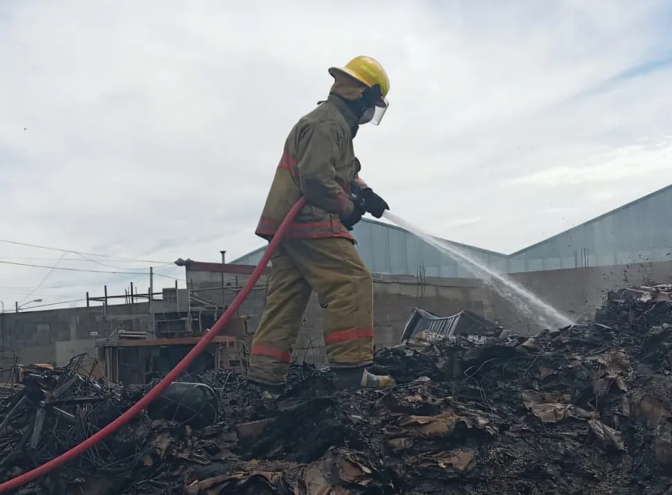 WhatsApp Image 2025-01-13 at 21.03.23