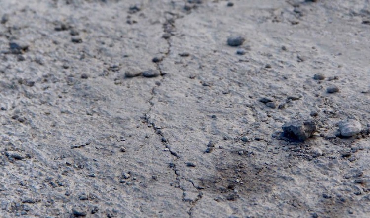 2017-12-05-PHOTO-00018274 (1)