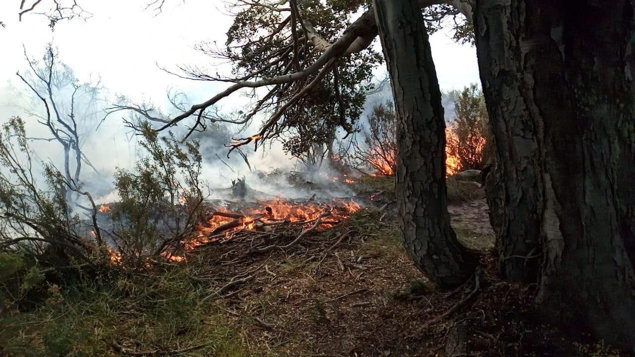 incendio pastizal