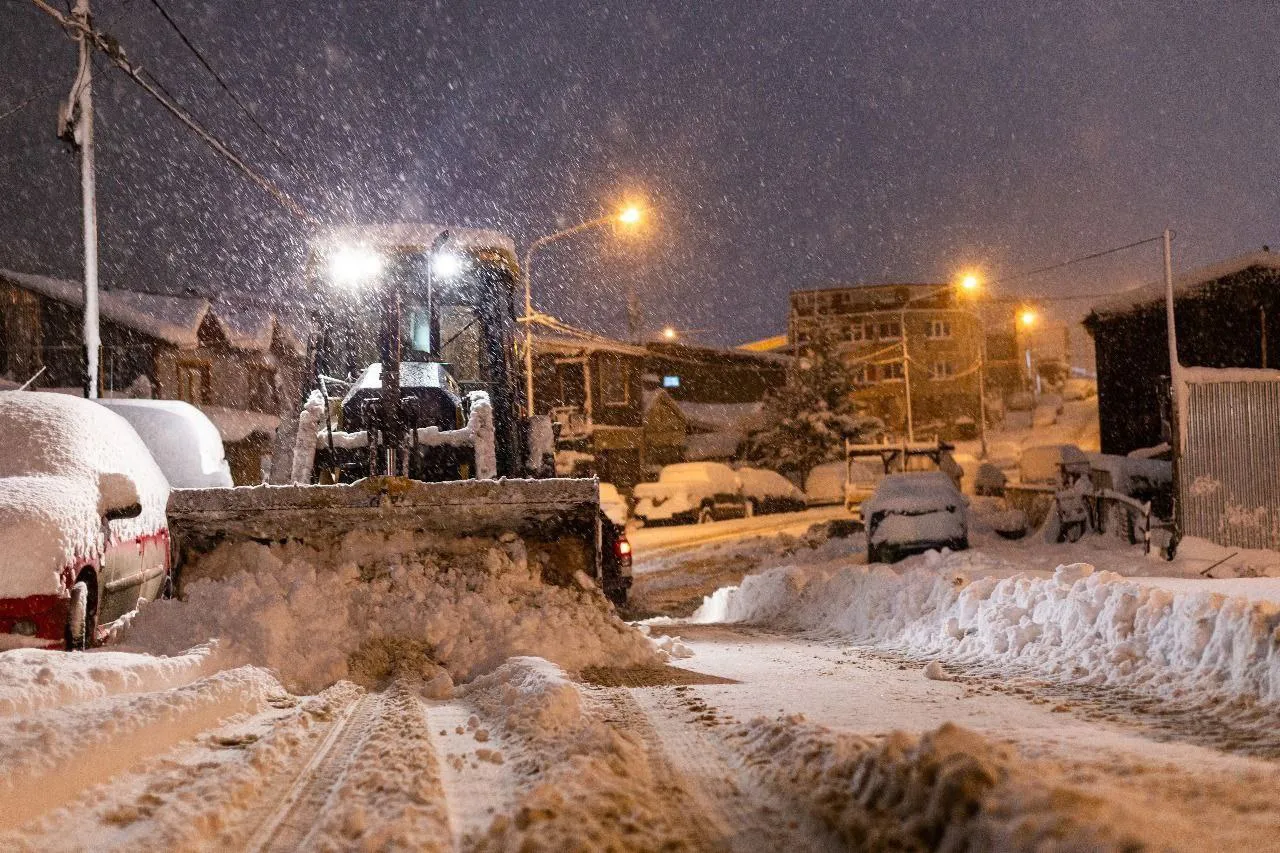 nieve