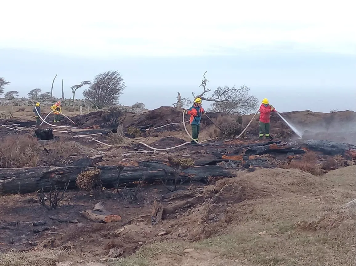 incendio forestal