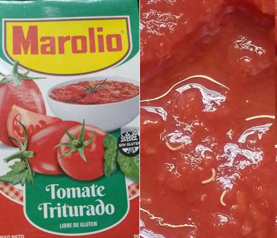 marolio gusanos