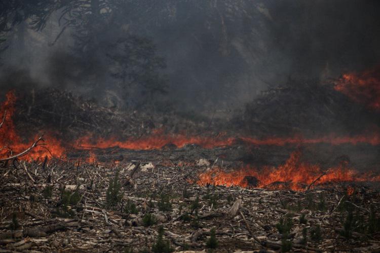 Incendios zonas de Aluminé y Bariloche (15)