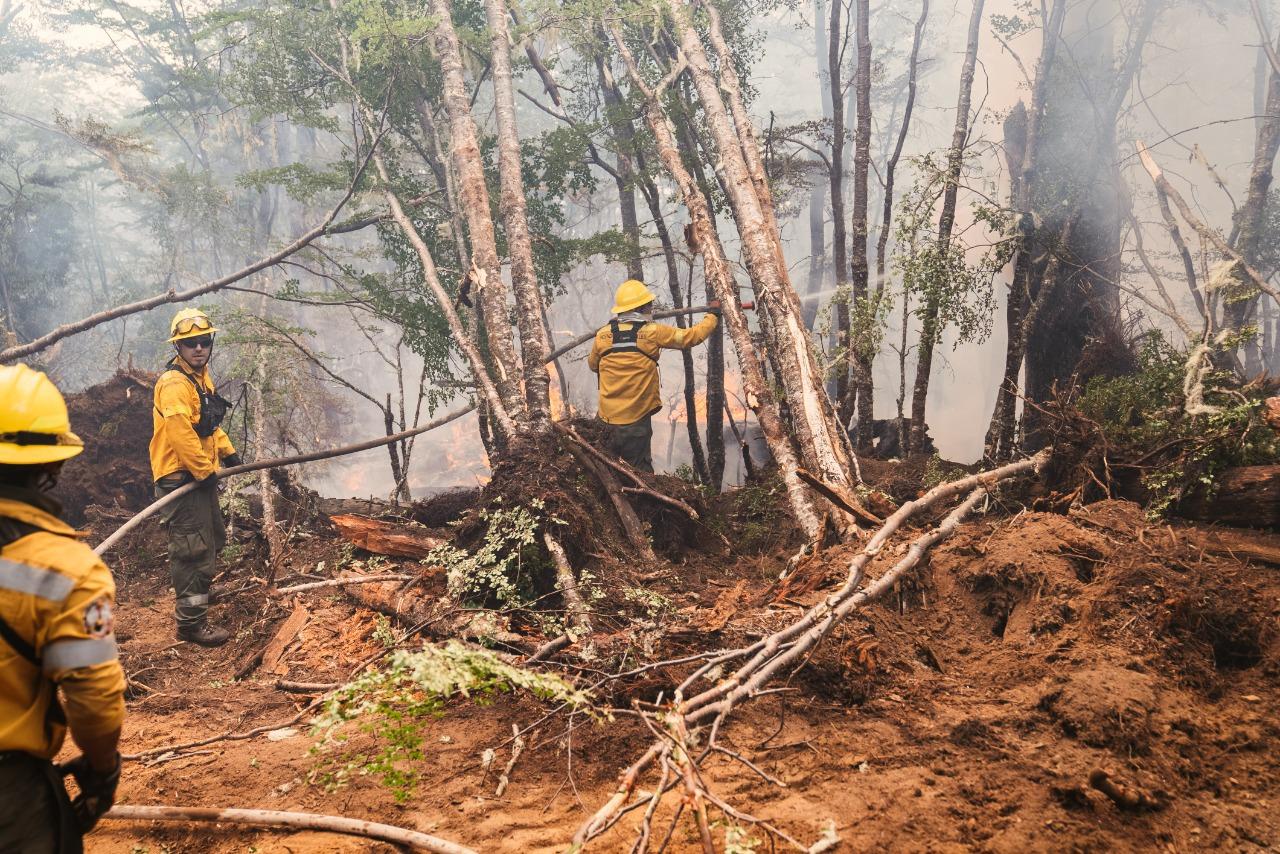incendio forestal (2)