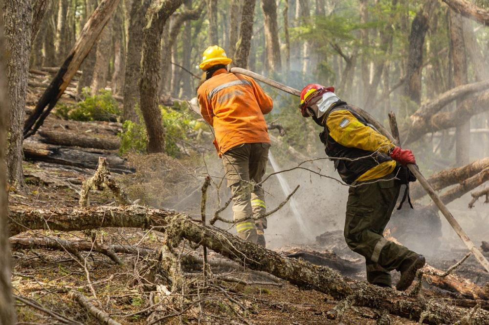 incendio forestal tolhuin (2)