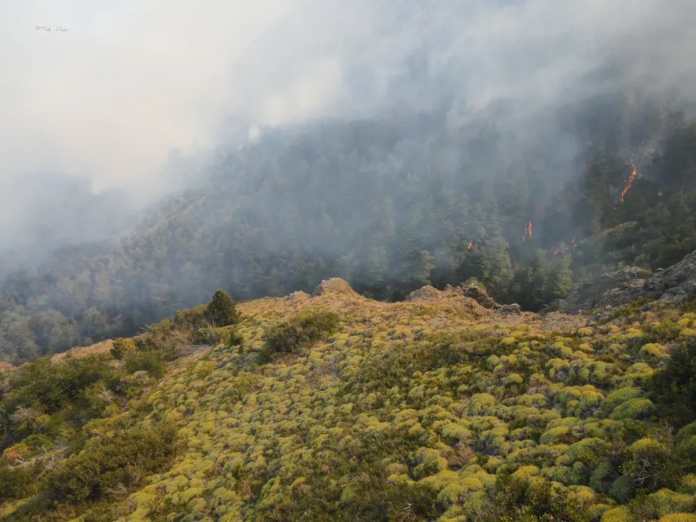 Parque Nacional Los Alerces incendio forestal6