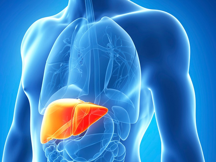 hepatitis