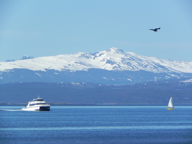 Catamaran 650x480