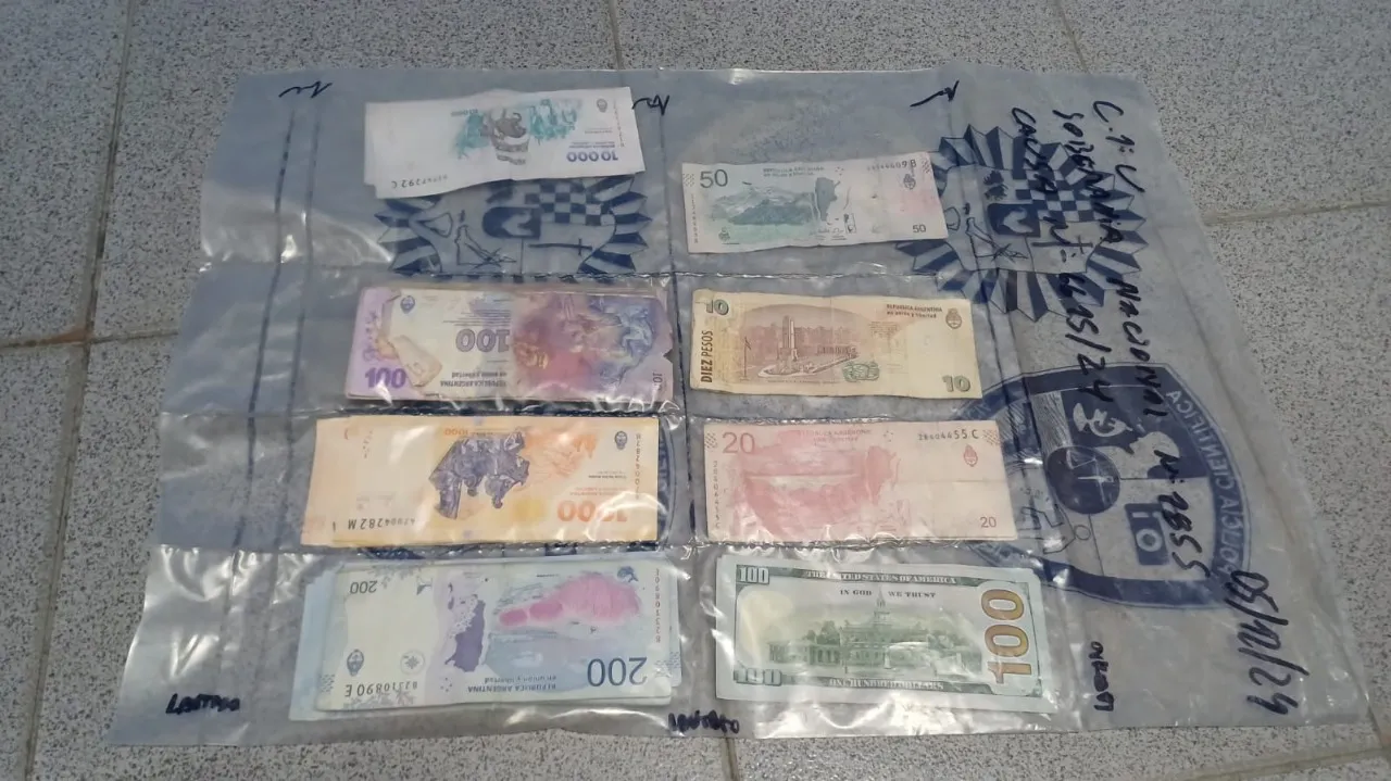 WhatsApp Image 2024-12-06 at 09.51.39