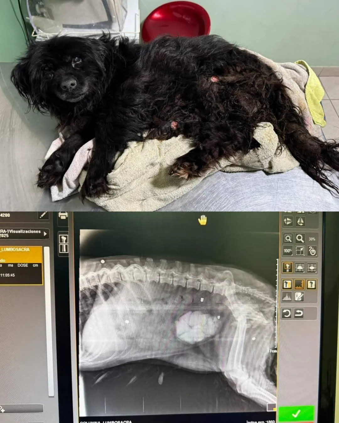 Imagen de WhatsApp 2025-06-23 a las 12.49.40_59b3edcc