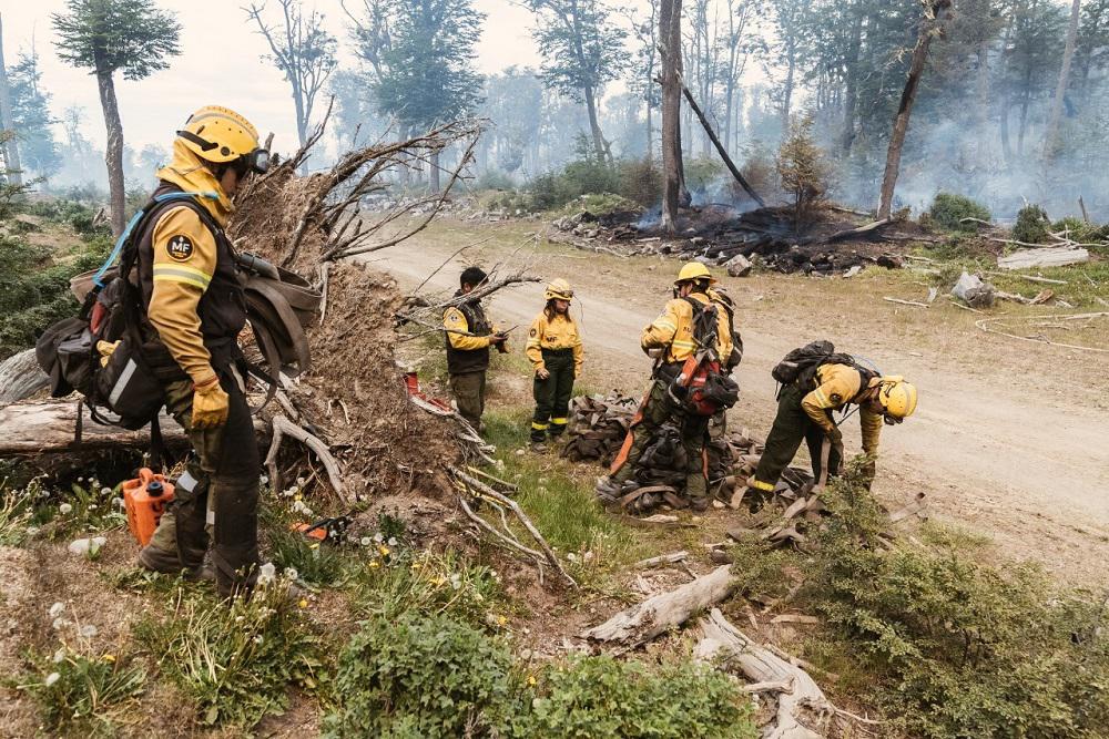 incendio forestal (3)