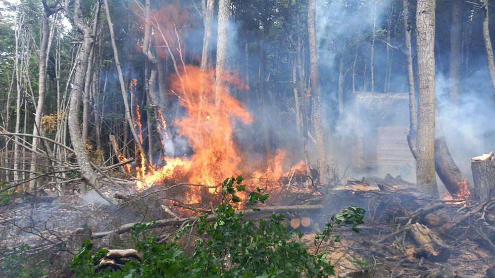 incendio forestal
