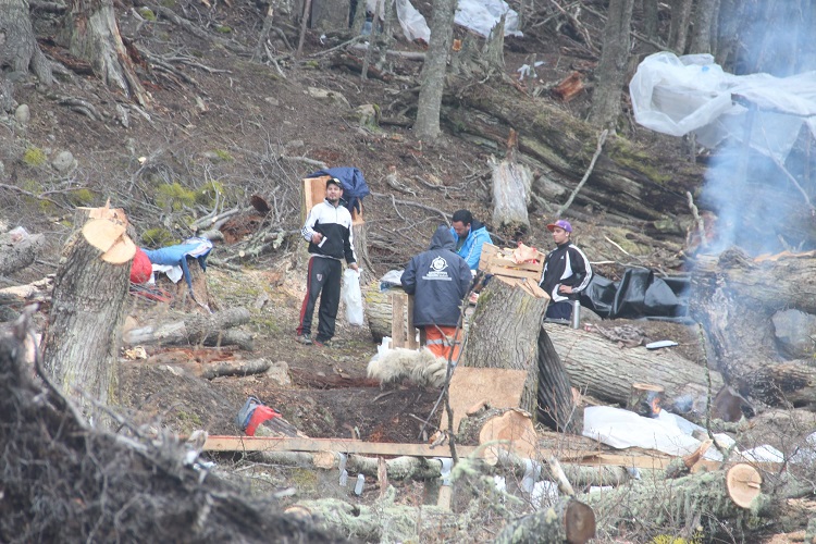 44737060_940742816120100_2271734045396172800_o (1)