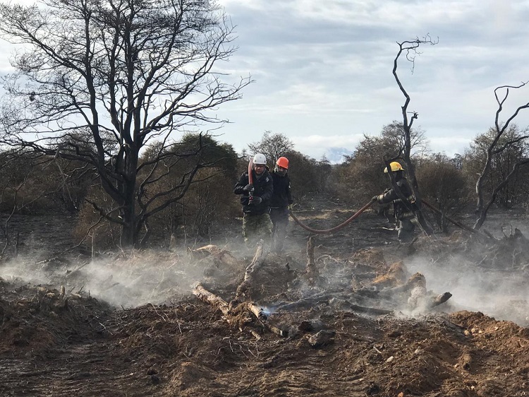 Incendio tolhuin forestal1