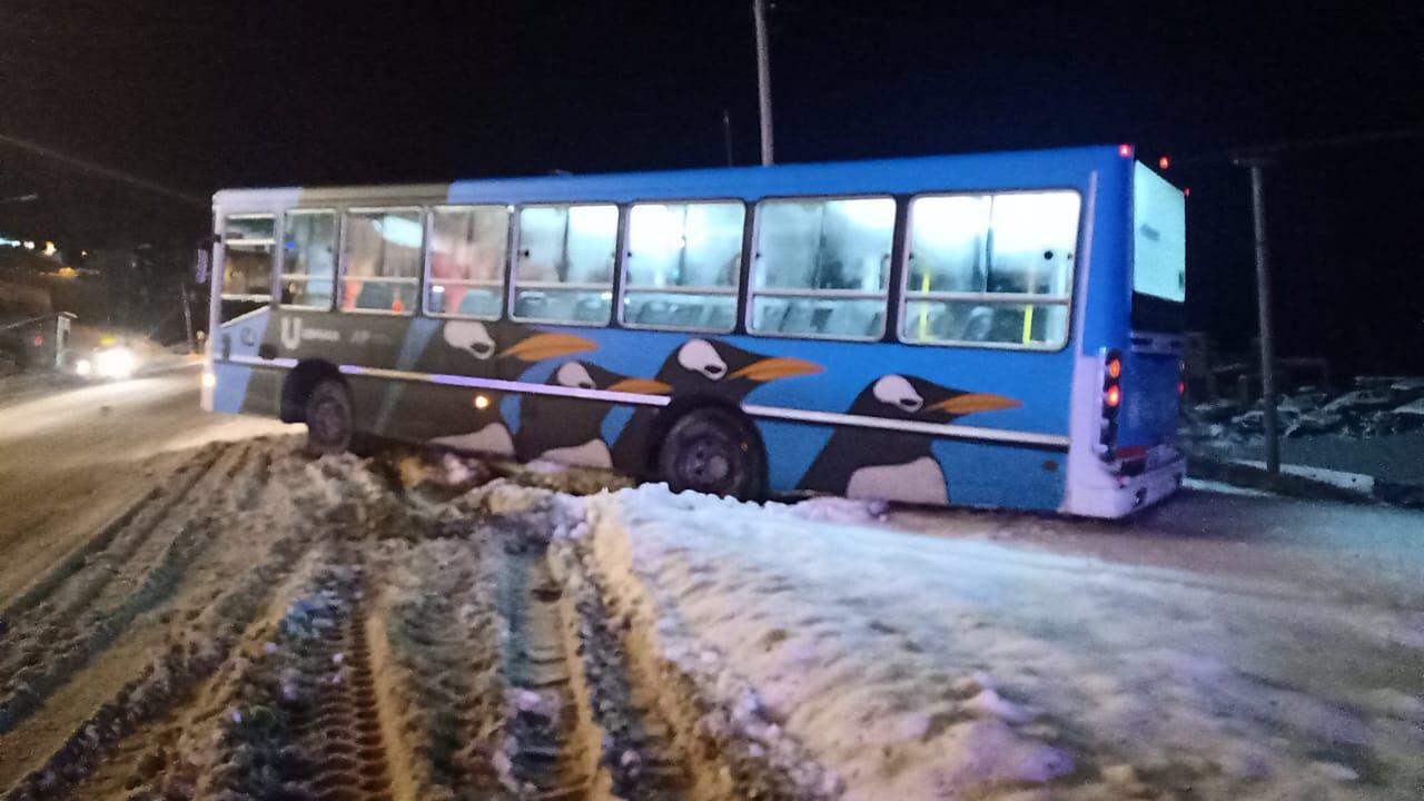 colectivo despiste