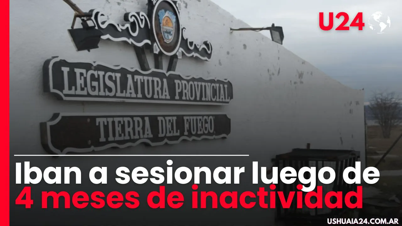 yerba (1)