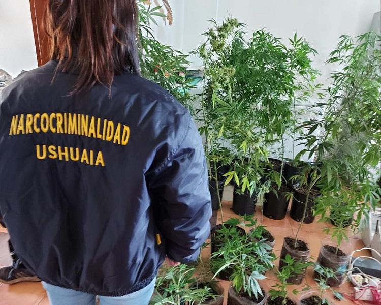 narcotrafico