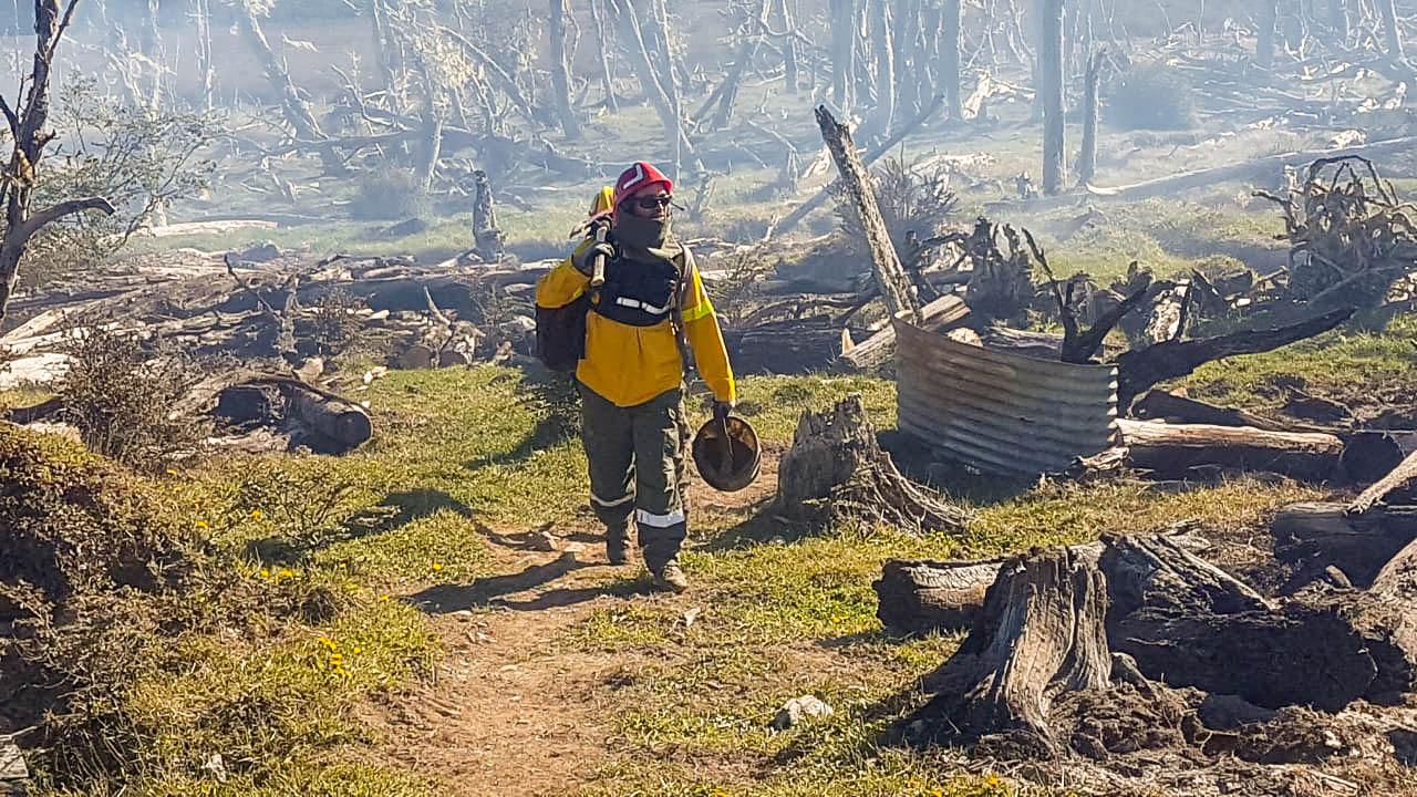incendio forestal3