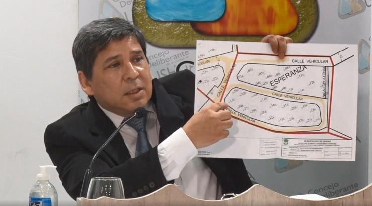 Pino 2020