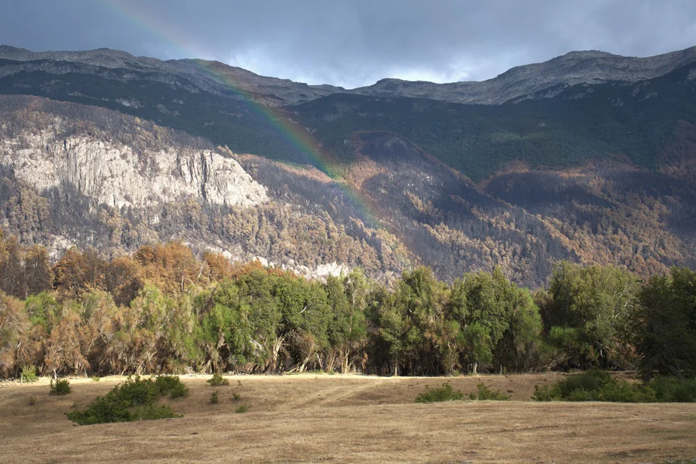 los alerces incendio (2)