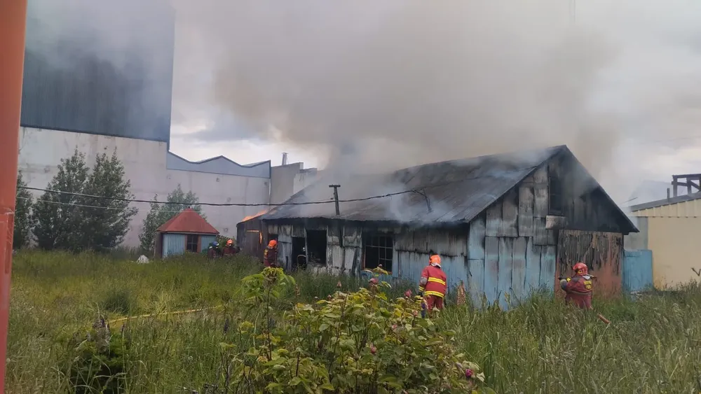 WhatsApp Image 2025-12-25 at 20.12.39 (1)