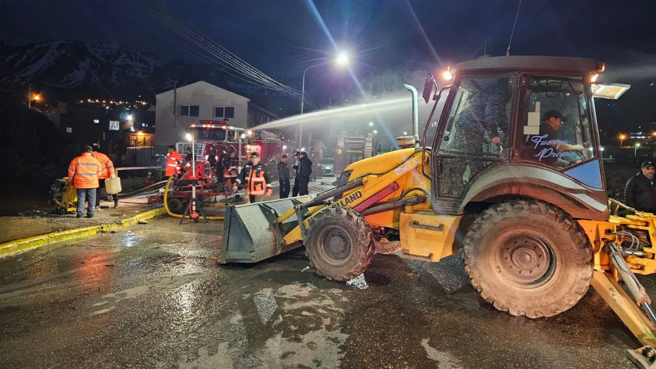 photo_4938664138284665722_y