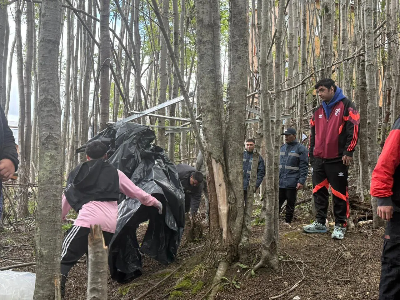 photo_5161454636072897473_y