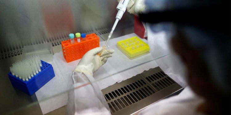 coronavirus