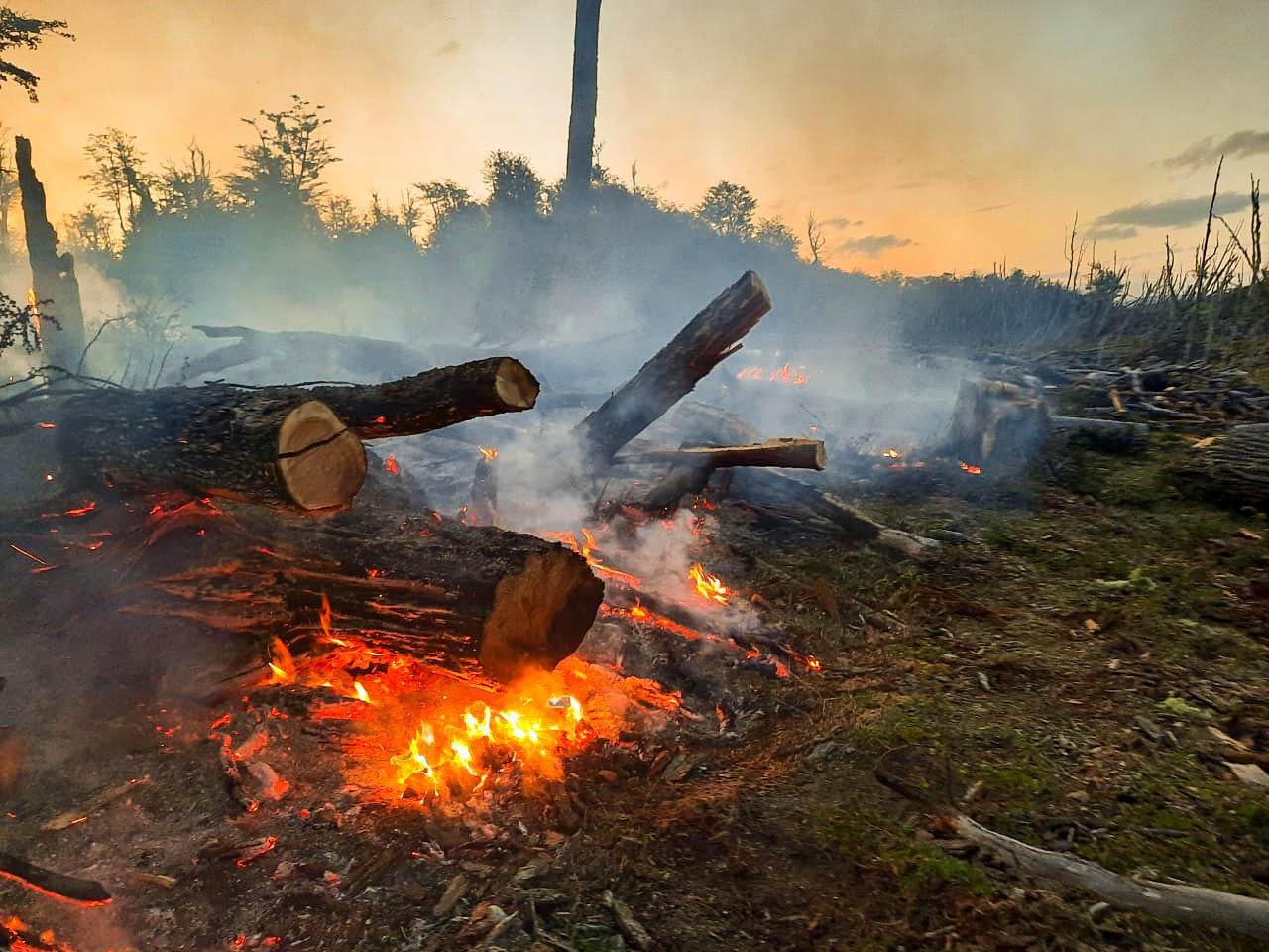 incendio forestal2